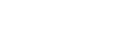 Privacy Icon